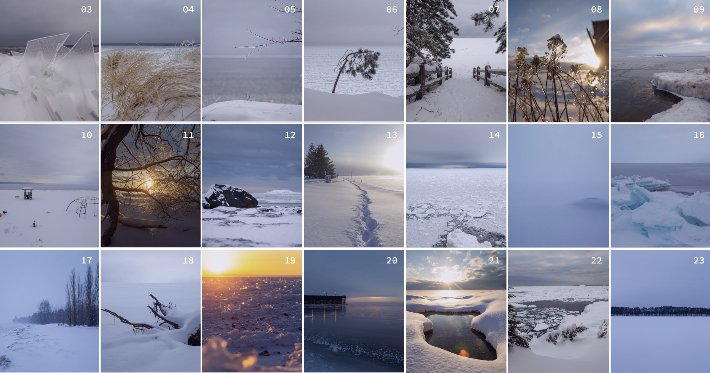 February • Year of the Sunrise